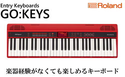 【ふるさと納税】【Roland】61鍵エントリーキーボード/GO:KEYS【配送不可：離島】　【楽器・ピアノ・コンパクト】 画像1