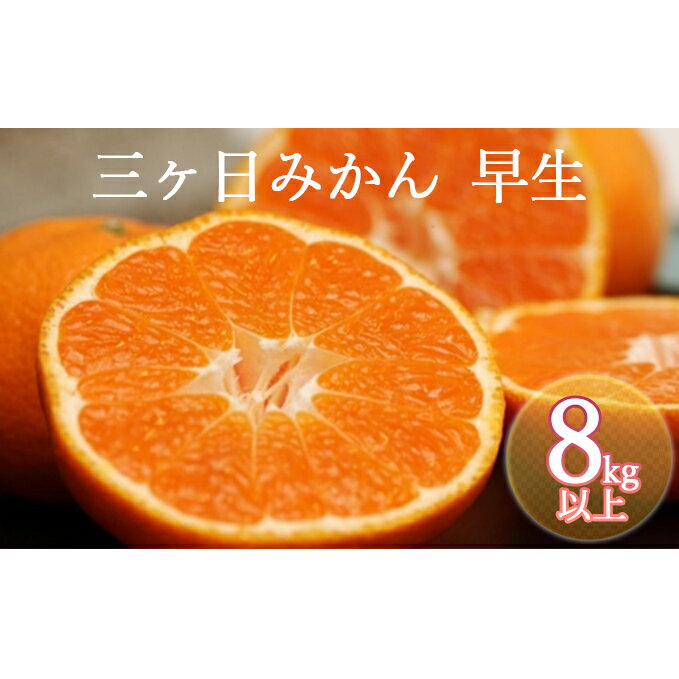 【ふるさと納税】【2021年11月中旬頃より順次発送】三ヶ日みかん 早生 8kg以上【配送不可：離島】　【果物類・柑橘類・みかん・フルーツ・三ヶ日みかん・ミカン】　お届け：2021年11月中旬〜2021年12月上旬･･･