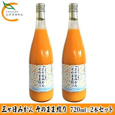 13位! 口コミ数「0件」評価「0」三ヶ日みかん そのまま絞り 2本セット（720ml×2本セット） みかん ジュース 100%　【果物類・みかん・柑橘類・果実飲料・ジュース】