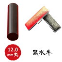 【ふるさと納税】黒水牛12mm(5書体)牛革ケース(赤) 民芸品 工芸品