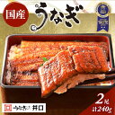 【ふるさと納税】国産うなぎ 蒲焼き 2尾 (120g×2尾) 山椒 たれ セット 詰め合わせ うなぎの井口 国産ウナギ 国産 うなぎ 鰻 蒲焼き うなぎの蒲焼 ...