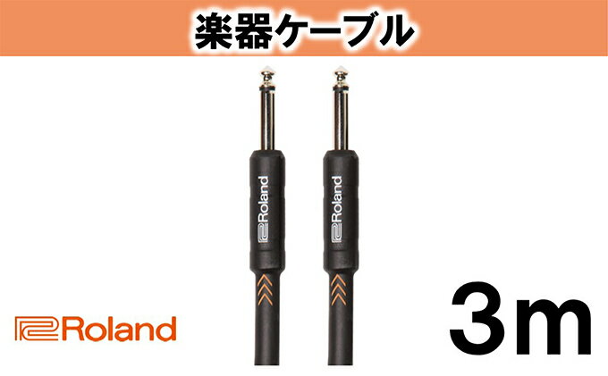 【ふるさと納税】【Roland純正】楽器ケーブル 3m/RIC-B10【配送不可：離島】　【雑貨・日用品】