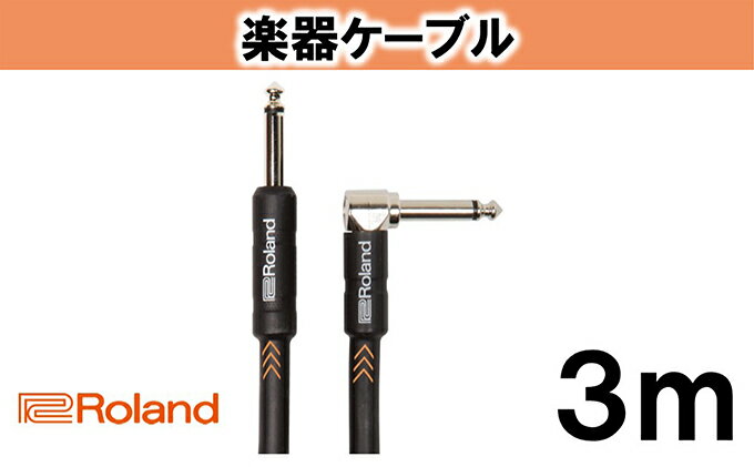 【ふるさと納税】【Roland純正】楽器ケーブル 3m/RIC-B10A【配送不可：離島】　【雑貨・日用品】