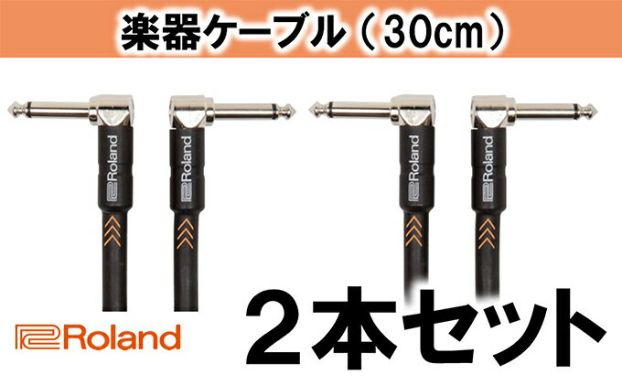 【ふるさと納税】【Roland純正】楽器ケーブル 30cm/RIC-B1AA 2本セット【配送不可：離島】　【雑貨・日用品】