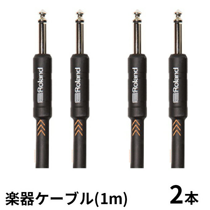 【ふるさと納税】【Roland純正】楽器ケーブル 1m/RIC-B3　2本セット【配送不可：離島】　【雑貨・日用...