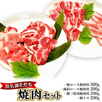 【ふるさと納税】浜名湖そだち 焼肉セット お肉 豚肉