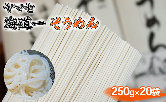 【ふるさと納税】ヤマセ 海道一 そうめん 250g × 20袋　【麺類・そうめん・素麺】