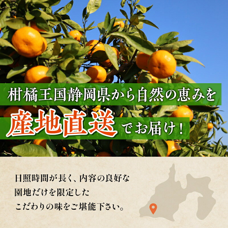 【ふるさと納税】果物 特秀 5kg 名匠のみかん S M 温州みかん フルーツ 産地直送 早生蜜柑 片山蜜柑 青島蜜柑 柑橘 静岡県浜松市　お届け：2026年12月上旬～2027年2月上旬 f221309-hamamatsu-10002692 静岡県浜松市 サンプル画像3