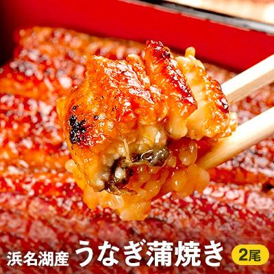 【ふるさと納税】うなぎ 国産 浜松 浜名湖 鰻 蒲焼き 2尾 100g以上×2本入 国産うなぎ さんしょう たれセット　【 蒲焼 浜名湖産 静岡 惣菜 浜松市 ウナギ 魚 魚介類 魚介 】　お届け：※人気のお品につき、お届けに1ヶ月前後かかる場合がございます。