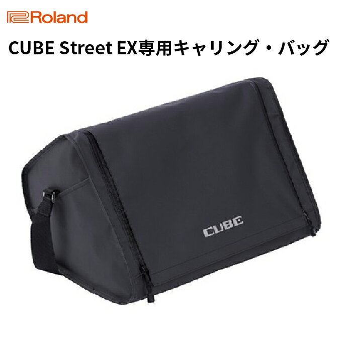 【ふるさと納税】【Roland】CUBE Street EX専用キャリング・バッグ/CB-CS2【配送不可：離島】　【雑貨・日用品・雑貨・日用品】