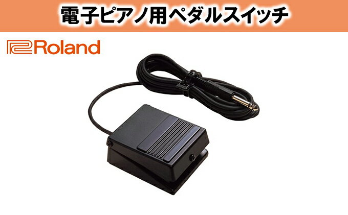 【ふるさと納税】【Roland】電子ピアノ用ペダルスイッチ/DP-2【配送不可：離島】　【雑貨・日用品・雑貨・日用品】