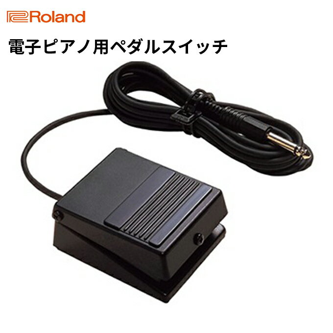 【ふるさと納税】【Roland】電子ピアノ用ペダルスイッチ/DP-2【配送不可：離島】　【雑貨・日用品・雑貨・日用品】