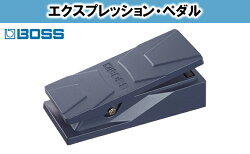 【ふるさと納税】【BOSS】エクスプレッションペダル/EV-30【配送不可：離島】　【雑貨・日用品・雑貨・日用品】 画像1