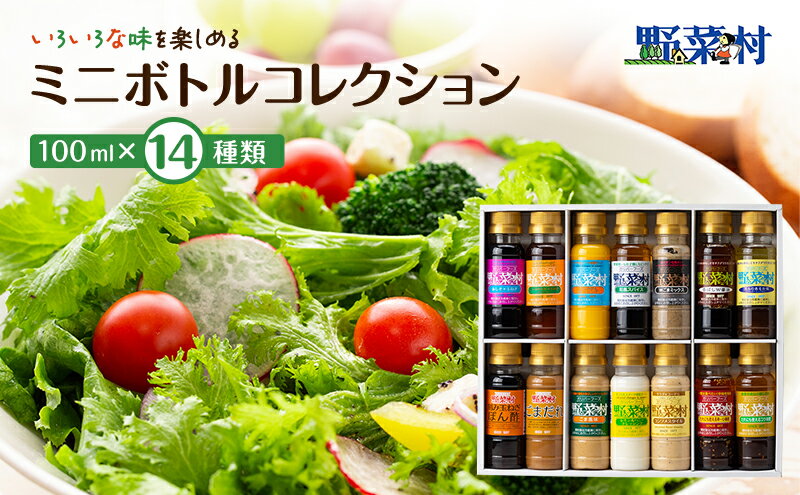 【ふるさと納税】ドレッシング 野菜村 ミニボトル コレクション 100ml×14本 調味料　【 セット 詰め合わせ ミニボトル ギフト 】