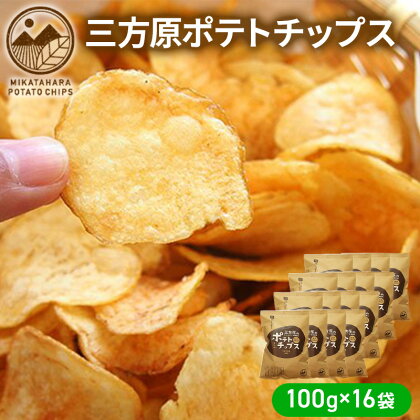 【2024年6月中旬以降順次発送】三方原ポテトチップス 100g×16袋　【お菓子・スイーツ・お菓子・スナック・駄菓子】　お届け：2024年6月中旬～10月上旬