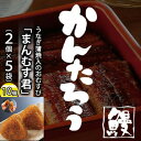 【ふるさと納税】かんたろうのうなぎ蒲焼入のおむすび「まんむす君」2個×5袋(1個 約100g×10個)(冷凍)【配送不可:離島】 惣菜