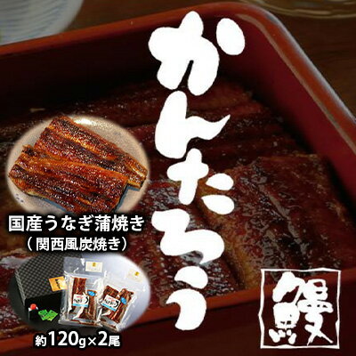 【ふるさと納税】国産うなぎ蒲焼き( 関西風炭焼き)約120g×2尾【配送不可:離島】 惣菜