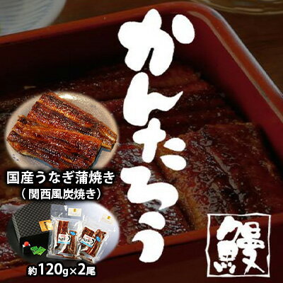 国産うなぎ蒲焼き( 関西風炭焼き)約120g×2尾[配送不可:離島] [惣菜]