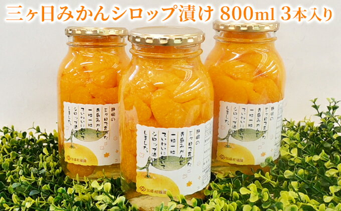 【ふるさと納税】三ヶ日みかんシロップ漬け 800ml 3本入り【配送不可：離島】　【加工食品・瓶詰・くだもの・果物】