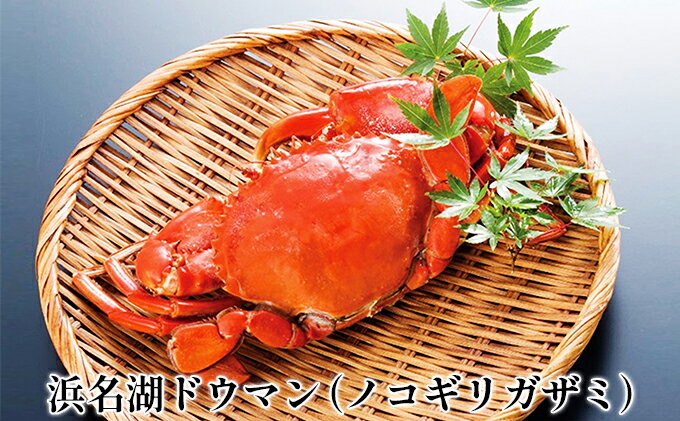 【ふるさと納税】浜名湖ドウマン（ノコギリガザミ）塩蒸し 1杯【配送不可：離島】　【蟹・カニ】　お届け：2023年12月～2024年9月上旬