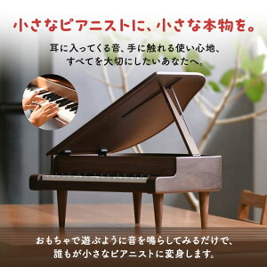 【ふるさと納税】KAWAI高級家具調ミニグランドピアノ飛騨 【雑貨・ミニグランドピアノ・ピアノ・楽器】 お届け：※お届けに3ヶ月前後かかります。