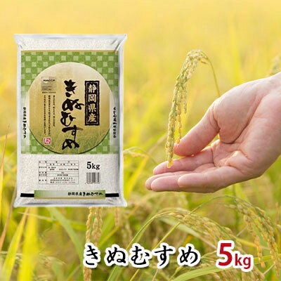 【令和5年産】静岡県産米『きぬむすめ』精米5kg　【米/きぬむすめ】