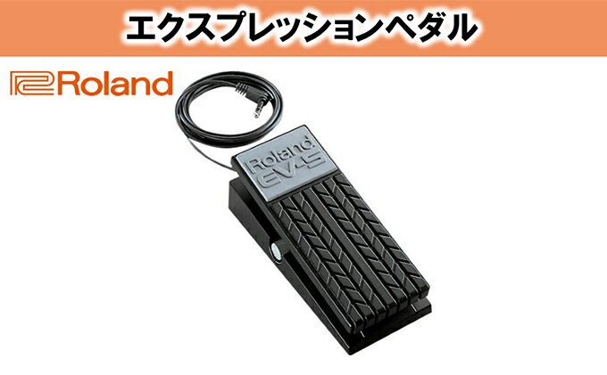 【ふるさと納税】【Roland】エクスプレッションペダル/EV-5【配送不可：離島】　【電化製品】