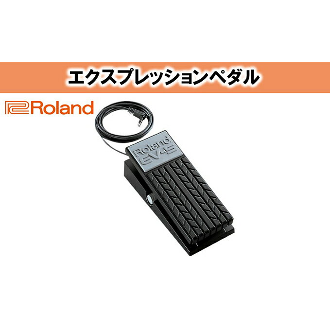 【ふるさと納税】【Roland】エクスプレッションペダル/EV-5【配送不可：離島】 【電化製品】