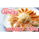 【ふるさと納税】浜松餃子のまっちゃん餃子人気3種 計120ヶセット【配送不可:沖縄県・離島】 加工品 惣菜 冷凍 ぎょうざ