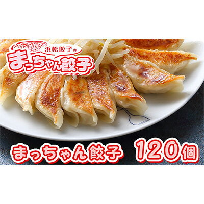 浜松餃子のまっちゃん餃子まっちゃん餃子40ヶ入り×3袋　計120ヶセット【配送不可：沖縄県・離島】　【加工品・惣菜・冷凍・ぎょうざ】