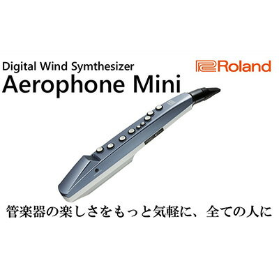 【ふるさと納税】【Roland】ウインドシンセサイザー/エアロフォンミニ【配送不可：離島】　【楽器・管楽器】