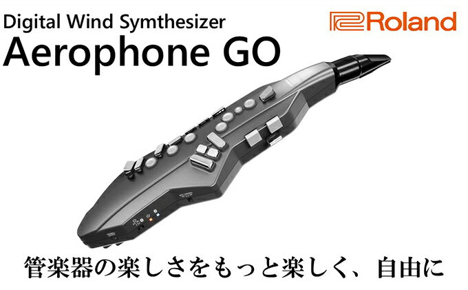 【ふるさと納税】シンセサイザー Roland ウインドシンセサイザー エアロフォンGO ローランド bluetooth 対応 配送不可：離島　【 楽器 サックス フルート クラリネット シンセ 管楽器 電化製品 音楽機器 】