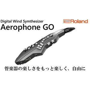 【ふるさと納税】シンセサイザー Roland ウインドシンセサイザー エアロフォンGO ローランド bluetooth 対応 配送不可：離島 【 楽器 サックス フルート クラリネット シンセ 管楽器 電化製品 音楽機器 】