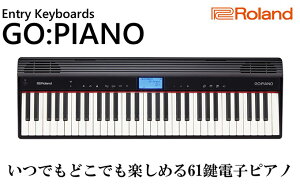 【ふるさと納税】電子ピアノ Roland 61鍵盤 ピアノ GO:PIANO ローランド bluetooth 対応 配送不可：離島 【 楽器 電化製品 音楽機器 】