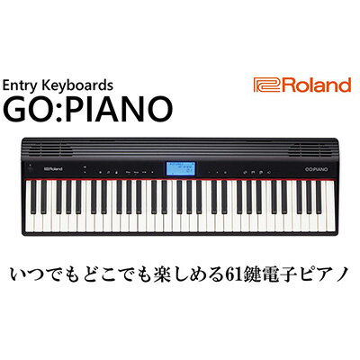 【ふるさと納税】電子ピアノ Roland 61鍵盤 ピアノ GO:PIANO ローランド bluetooth 対応 配送不可：離島 【 楽器 電化製品 音楽機器 】