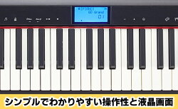 【ふるさと納税】電子ピアノ Roland 61鍵盤 ピアノ GO:PIANO ローランド bluetooth 対応 配送不可：離島　【 楽器 電化製品 音楽機器 】･･･ 画像2