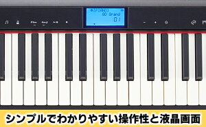 【ふるさと納税】電子ピアノ Roland 61鍵盤 ピアノ GO:PIANO ローランド bluetooth 対応 配送不可：離島 【 楽器 電化製品 音楽機器 】