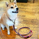 【ふるさと納税】【中型犬用・Mサイズ】ハーフチョークカラーとリードのセット(ブルーフラワー) 雑貨 日用品 ペット用品