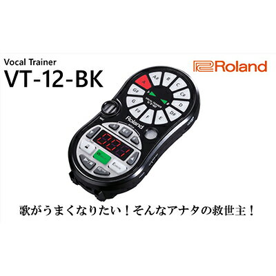 アクセサリー人気ランク8位　口コミ数「0件」評価「0」「【ふるさと納税】【Roland】ボーカルトレーナー/VT-12-BK【配送不可：離島】　【雑貨・日用品・オーディオ機器】」