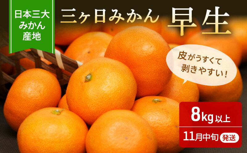 【ふるさと納税】【2024年11月中旬より順次発送】三ヶ日 みかん 早生 8kg以上 【配送不可：離島】　【 早生みかん 三ヶ日みかん ミカン フルーツ 果物 柑橘類 静岡 産地直送 】　お届け：2024年11月中旬～2024年12月上旬