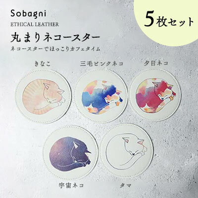 【ふるさと納税】Sobagni　丸まりネコースター　5枚セット　【雑貨・日用品・コースター・イラスト入り】