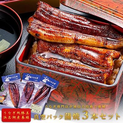 【ふるさと納税】うなぎ 国産 蒲焼3尾セット(160g×3尾 タレ75ml×1・山椒付) 勝美 ギフト プレゼント お歳暮 誕生日 内祝　【うなぎ・鰻・小分け・簡単調理・パック】