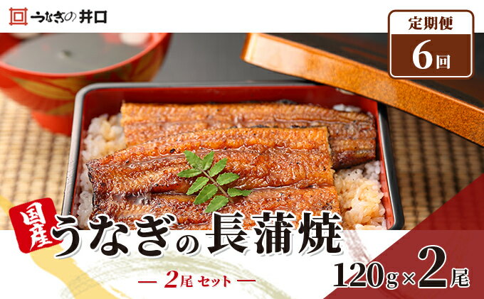 【ふるさと納税】定期便6回【ITI優秀味覚賞受賞】「うなぎの井口」長蒲焼2尾セット【配送不可：離島】　【定期便・うなぎ・鰻・蒲焼・ウナギ・真空パック・6ヶ月・6回】