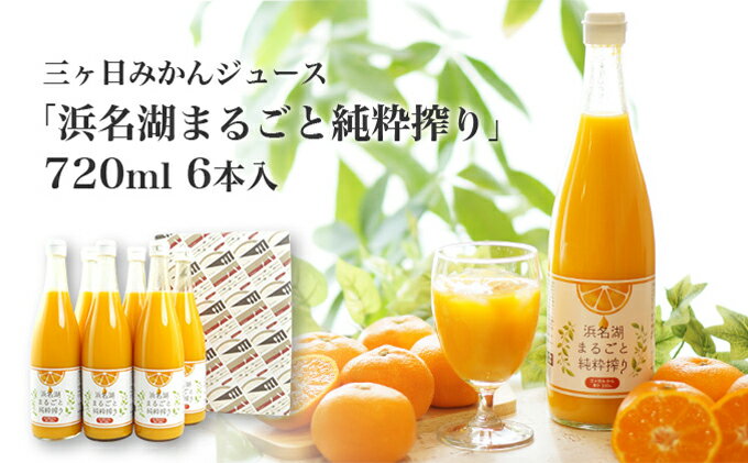 【ふるさと納税】三ヶ日みかんジュース「浜名湖まるごと純粋搾り」720ml 6本【静岡 三ヶ日 みかん ジュース】　【果汁飲料・野菜飲料・みかんジュース・三ケ日みかん・青島・720ml】