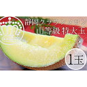 【ふるさと納税】クラウンメロン 特上(山)1.5kg前後 1玉 果物類 メロン青肉 フルーツ