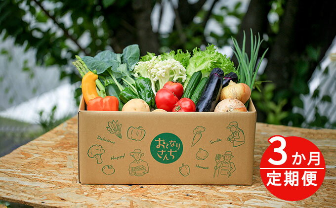 【ふるさと納税】おとなりさんち厳選！浜松から鮮度抜群！旬の野菜BOX【定期便3か月分】【配送不可：沖縄・離島】　【定期便・野菜・セット・詰合せ】