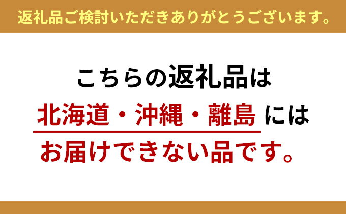 【ふるさと納税】光の楽園 パームツリー95(ポ...の紹介画像3