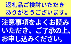 【ふるさと納税】11月中に順次出荷　鮮度保持袋入り テルの次郎柿『長寿郎』10玉〜16玉入り　【果物類・果物・柿・かき・甘い・3キロ・柔らかい・フルーツ・長寿郎】　お届け：2022年11月上旬〜2022年11月下旬･･･ 画像2