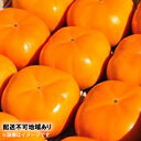【ふるさと納税】テルの次郎柿 鮮度保持袋入り 3L~M 3kg 10~16玉 12月から順次発送 長寿郎 柿 かき 果物 フルーツ 旬の果物 旬のフルーツ 秋の味覚 次郎柿 デザート 個包装 静岡 静岡県 浜松市 【配送不可:離島】 お届け:2025年11月15日~2025年11月30日まで