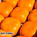 【ふるさと納税】長生き次郎柿「長寿郎(ちょうじゅろう)」2L~Mサイズ 2.5kg 10~16玉入り 柿 かき 果物 くだもの フルーツ 旬の果物 旬のフルーツ 秋の味覚 次郎柿 デザート 静岡 静岡県 高級 浜松市【配送不可:離島】 お届け:2025年12月20日~2026年1月30日まで